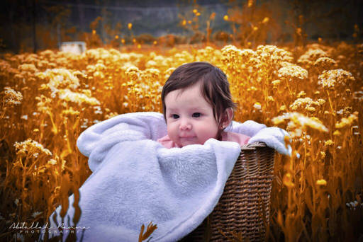 family photoshoot with newborn