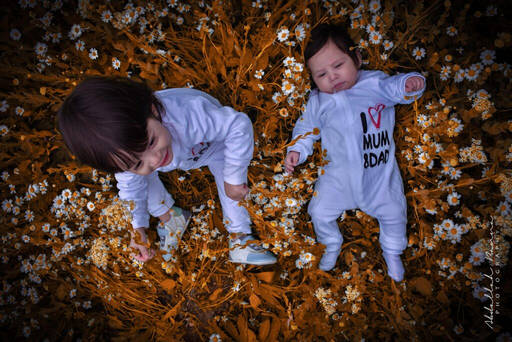 family photoshoot with newborn